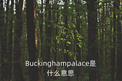 白金漢宮的英語，倫敦以大本鐘白金漢宮和塔橋而聞名 用英語咋說