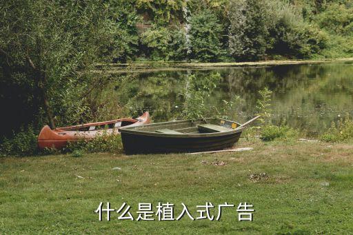 植入式廣告，什么是植入式廣告