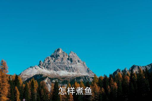 怎么煮魚，怎樣煮魚