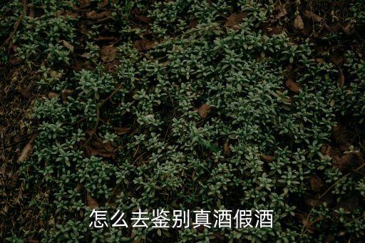 怎么去鑒別真酒假酒