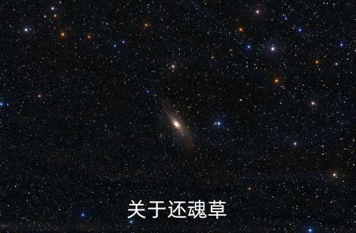 還魂草的功效，九死還魂草怎么吃