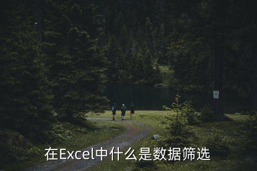 在Excel中什么是數據篩選