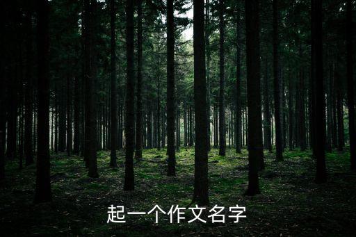 起一個(gè)作文名字