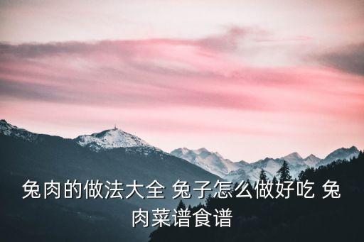 兔肉的做法，兔肉的做法大全 兔子怎么做好吃 兔肉菜譜食譜