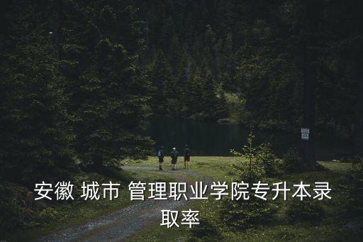  安徽 城市 管理職業(yè)學(xué)院專升本錄取率