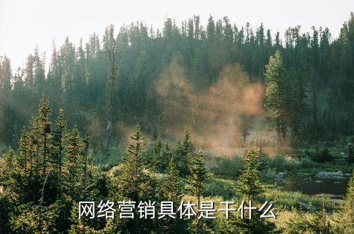 網絡營銷是干什么的，網絡營銷主要做什么
