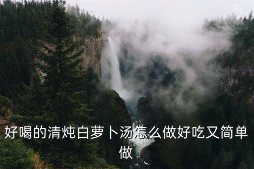 好喝的清燉白蘿卜湯怎么做好吃又簡單做