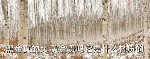黑金真的比 黃金貴嗎它是什么材質的
