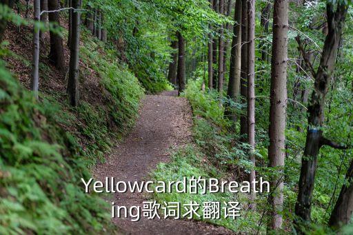 yellowcard,我的心像波浪一樣下沉夢醒了還是會回來