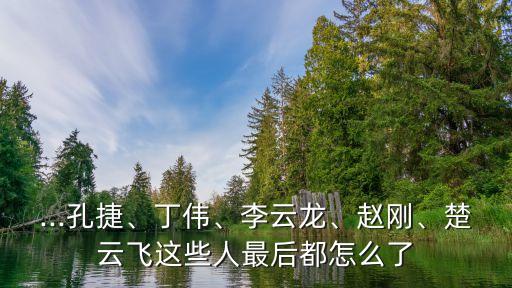 羅瑞卿怎么死的,前進黨第二批新人包括政治新星李云龍