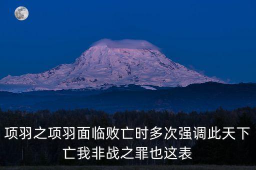 項羽之項羽面臨敗亡時多次強調此天下亡我非戰之罪也這表