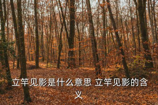  立竿見影是什么意思 立竿見影的含義