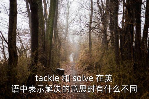 tackle 和 solve 在英語(yǔ)中表示解決的意思時(shí)有什么不同