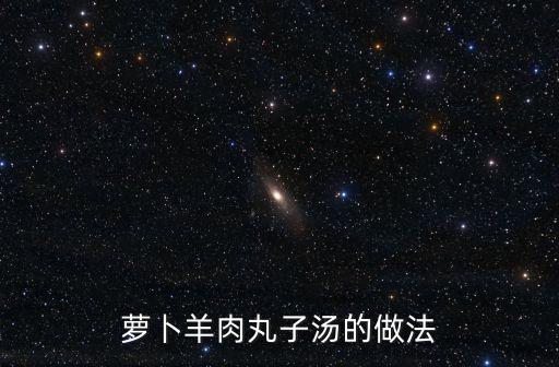 蘿卜羊肉丸子湯的做法
