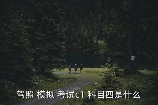 科目四模擬考試,安全文明駕駛考試增加科目iv考慮車德