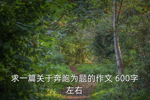 求一篇關于奔跑為題的作文 600字左右