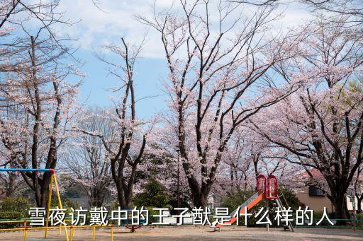 王子道，什么是王子公主道