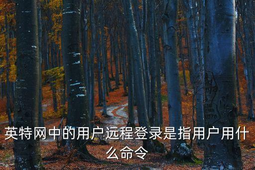 英特網中的用戶遠程登錄是指用戶用什么命令