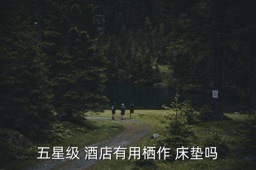 五星級 酒店有用棲作 床墊嗎