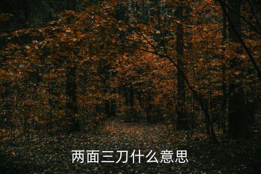 兩面三刀什么意思