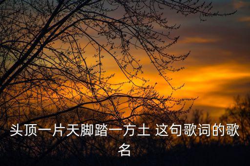頭頂一片天腳踏一方土 這句歌詞的歌名