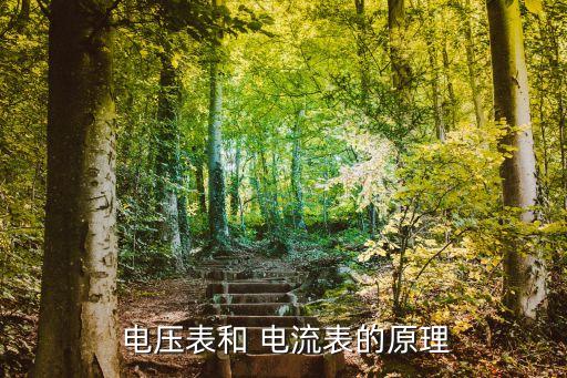 電流表電壓表,電阻阻值與電壓表相差不大應選擇電流表