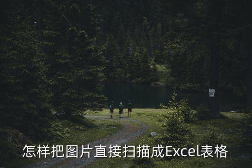 怎樣把圖片直接掃描成Excel表格