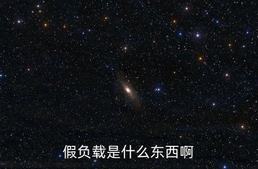假負載，假負載是什么東西啊