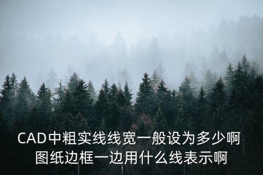 CAD中粗實(shí)線線寬一般設(shè)為多少啊 圖紙邊框一邊用什么線表示啊