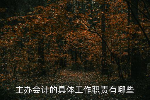 主辦會(huì)計(jì)崗位職責(zé)，主辦會(huì)計(jì)的工作主要做什么