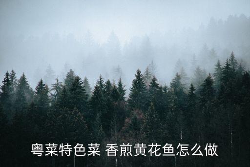 粵菜特色菜 香煎黃花魚怎么做