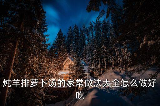 燉羊排蘿卜湯的家常做法大全怎么做好吃