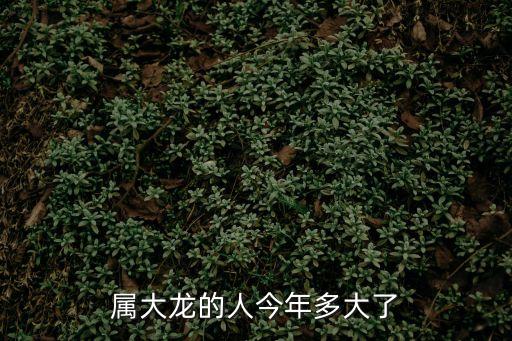 屬龍的多大了,一歲算法有誤!96年屬龍出生者比96年少