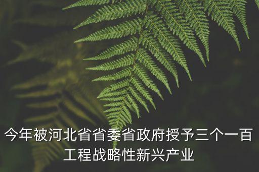 三個一百年，今年被河北省省委省政府授予三個一百工程戰略性新興產業