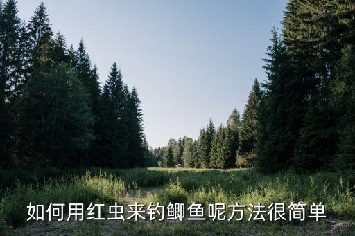 如何用紅蟲來釣鯽魚呢方法很簡單