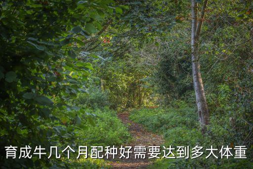 育成牛幾個月配種好需要達到多大體重