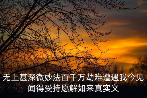 無上甚深微妙法百千萬劫難遭遇我今見聞得受持愿解如來真實義