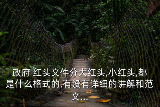 政府 紅頭文件分大紅頭,小紅頭,都是什么格式的,有沒有詳細(xì)的講解和范文...