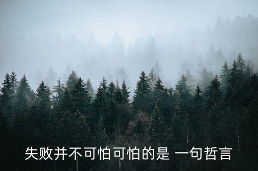 失敗并不可怕可怕的是 一句哲言
