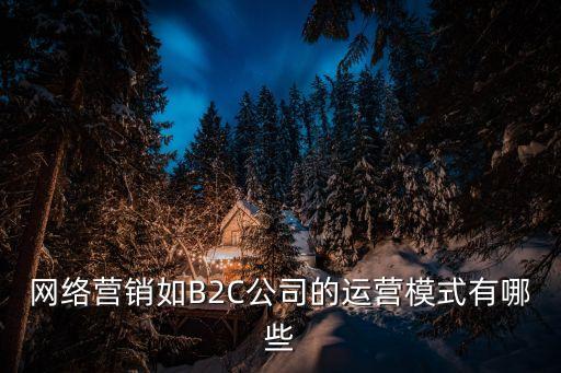運營方式，什么是運營模式