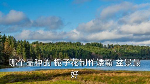 哪個品種的 梔子花制作矮霸 盆景最好