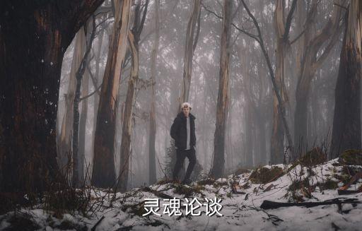  靈魂論談