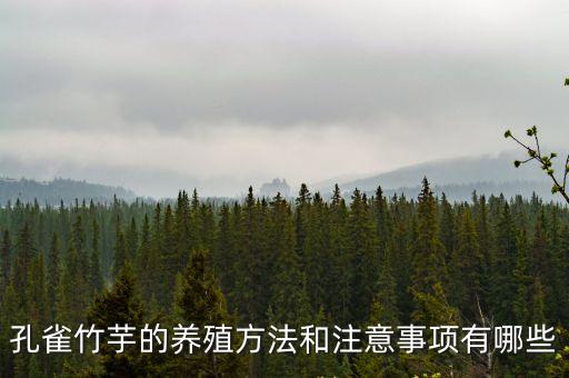 孔雀竹芋的養(yǎng)殖方法和注意事項(xiàng)有哪些