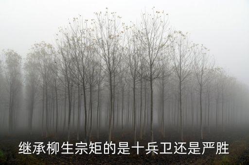 繼承柳生宗矩的是十兵衛(wèi)還是嚴勝