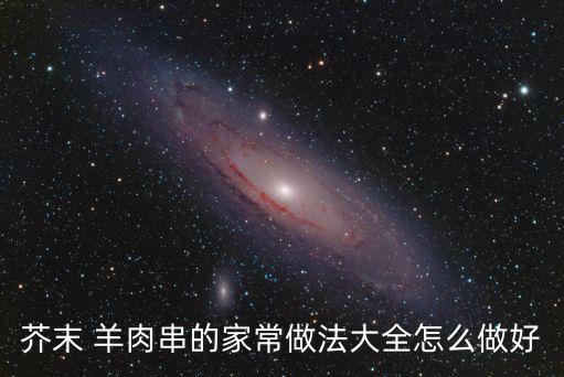 芥末 羊肉串的家常做法大全怎么做好