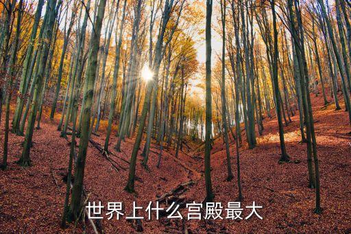 世界上什么宮殿最大