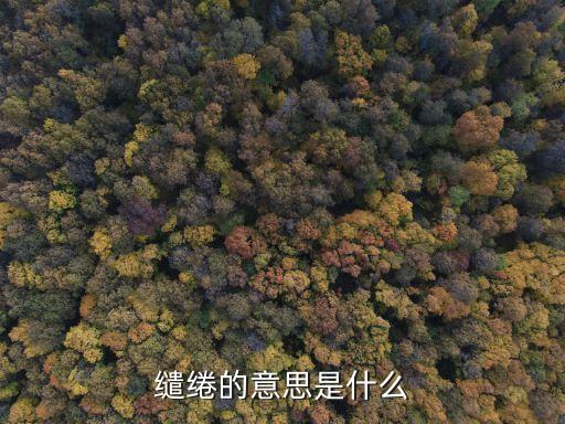 繾綣的意思是什么