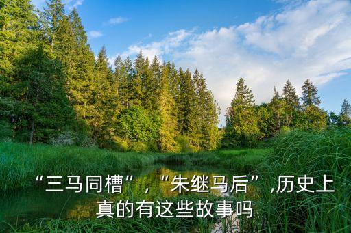 牛繼馬后,牛繼馬后與瑯琊王司馬有關