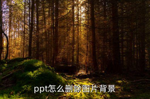 ppt怎么刪除圖片背景