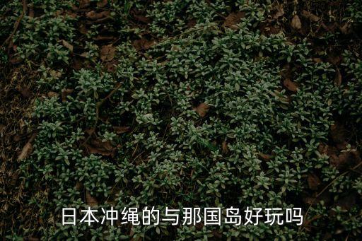竹富島,沖繩美之海水族館擁有世界最大玻璃窗黑潮海